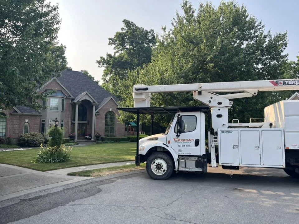 Expert yard maintenance near you across Tarentum, PA - Vaughan's Tree Service and Landscaping