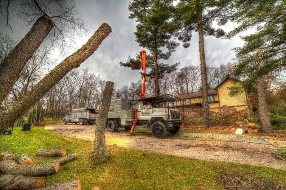 Affordable yard cleanup service in Tarentum, PA - Vaughan's Tree Service and Landscaping