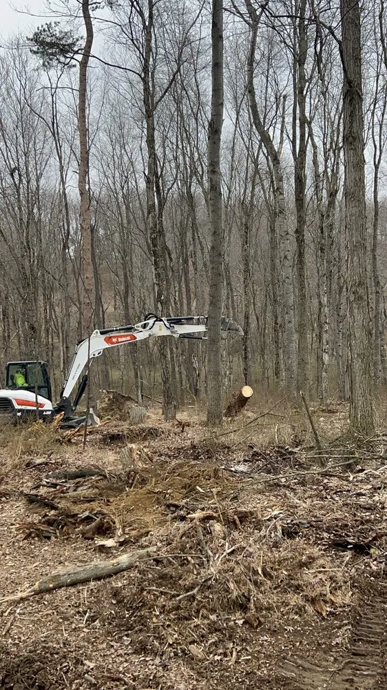 Reliable yard cleanup service for residential properties across Tarentum, PA - Vaughan's Tree Service and Landscaping