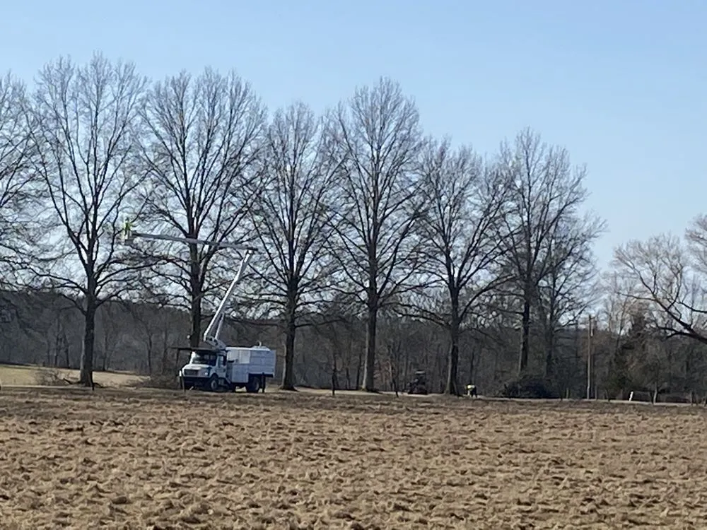 Top-rated yard cleanup service in Tarentum, PA - Vaughan's Tree Service and Landscaping