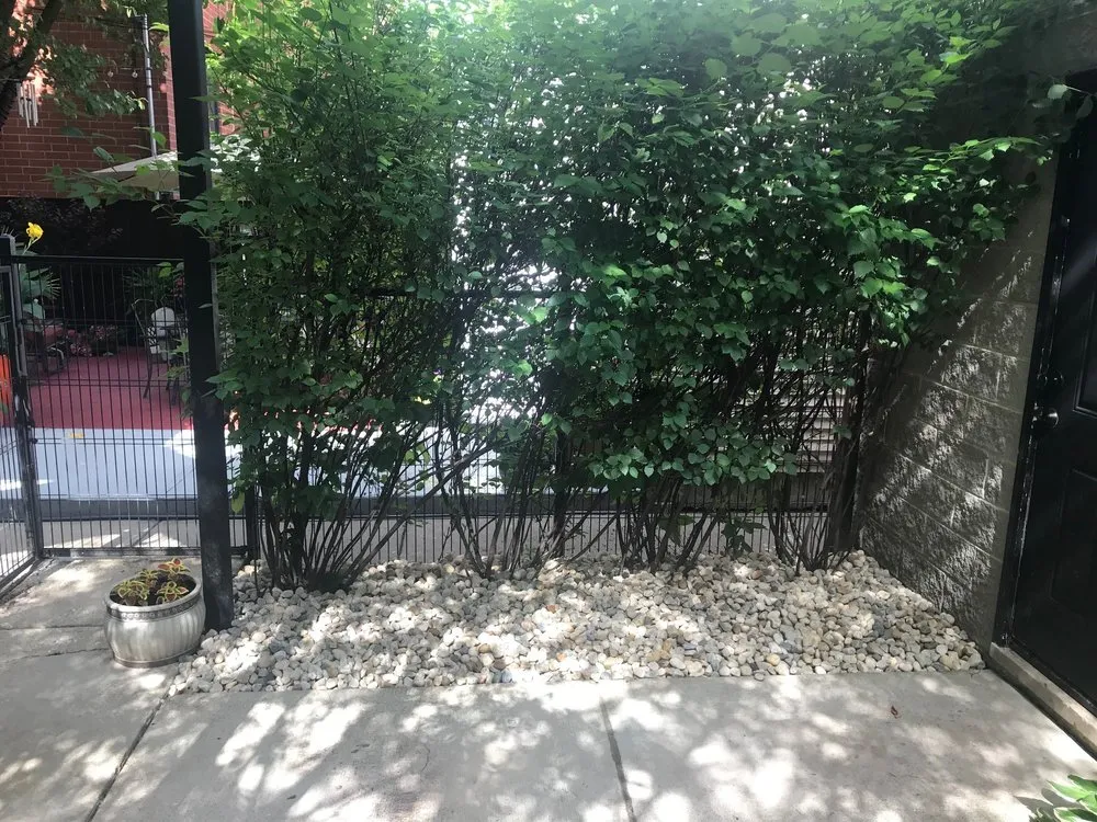 Local landscaping services in Chicago, IL by Vaughn's Brick Paving