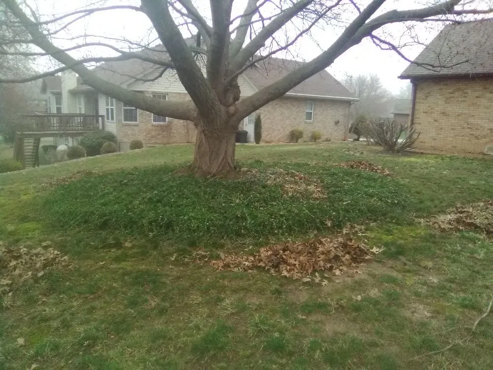 Custom garden landscaping experts serving Collinsville, IL - Vaughns Home Renovations & Fencing