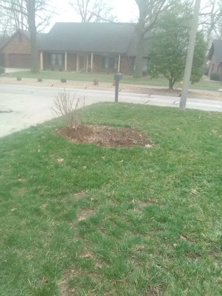 Expert lawn care service in Collinsville, IL by Vaughns Home Renovations & Fencing