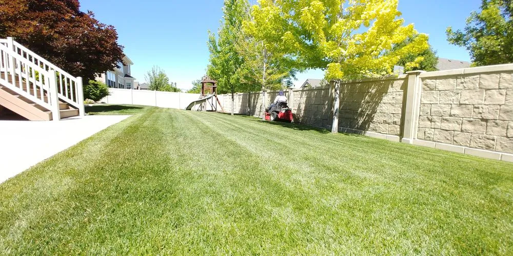 Professional lawn care service for year-round maintenance in Kearns, UT by Vazquez & Flores Lawn Care Services
