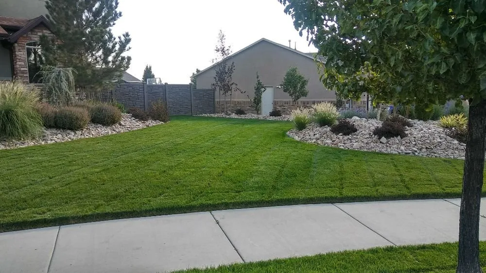 Professional yard cleanup service in Kearns, UT by Vazquez & Flores Lawn Care Services