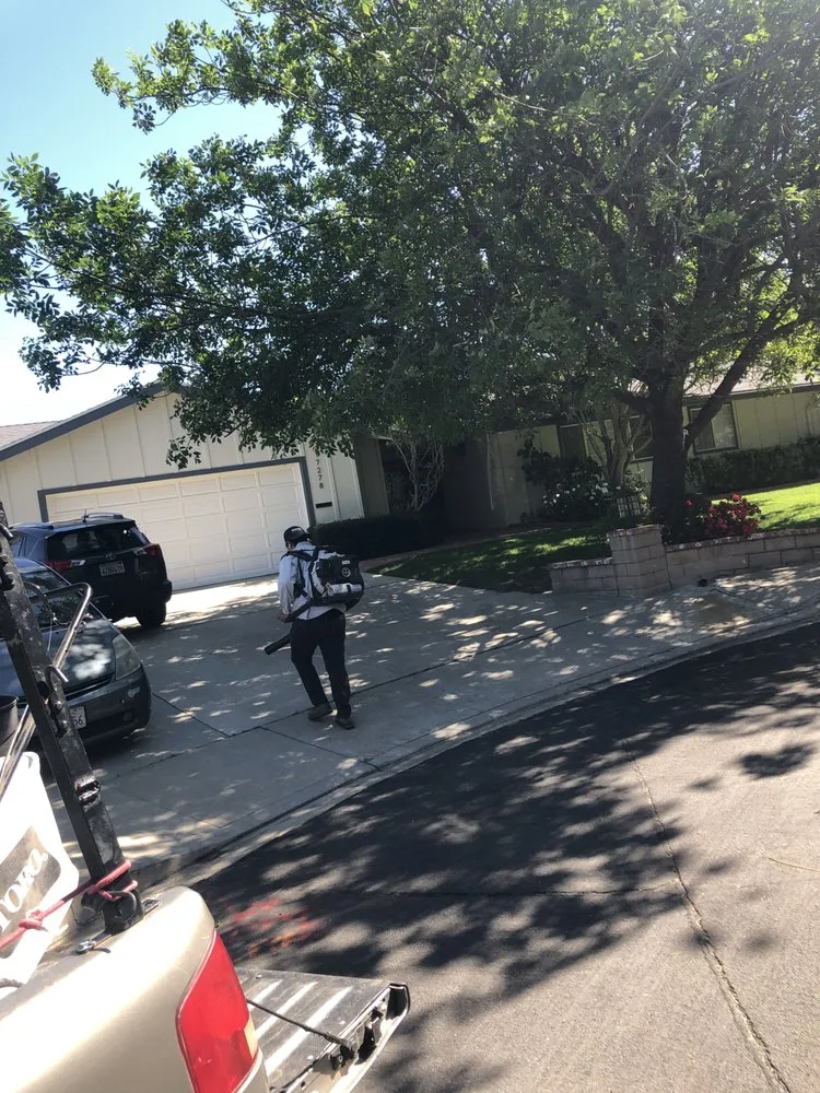 Affordable yard maintenance for beautiful yards in Los Angeles, CA by Vazquez Gardening