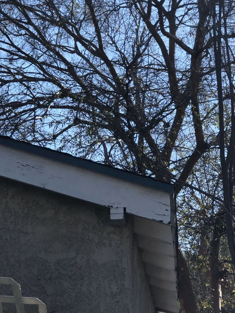 Local landscaping services for residential properties across Los Angeles, CA - Vazquez Gardening