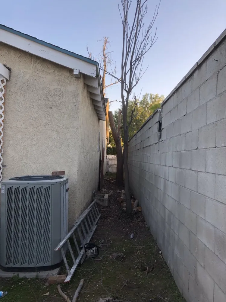 Local lawn care service in Los Angeles, CA - Vazquez Gardening