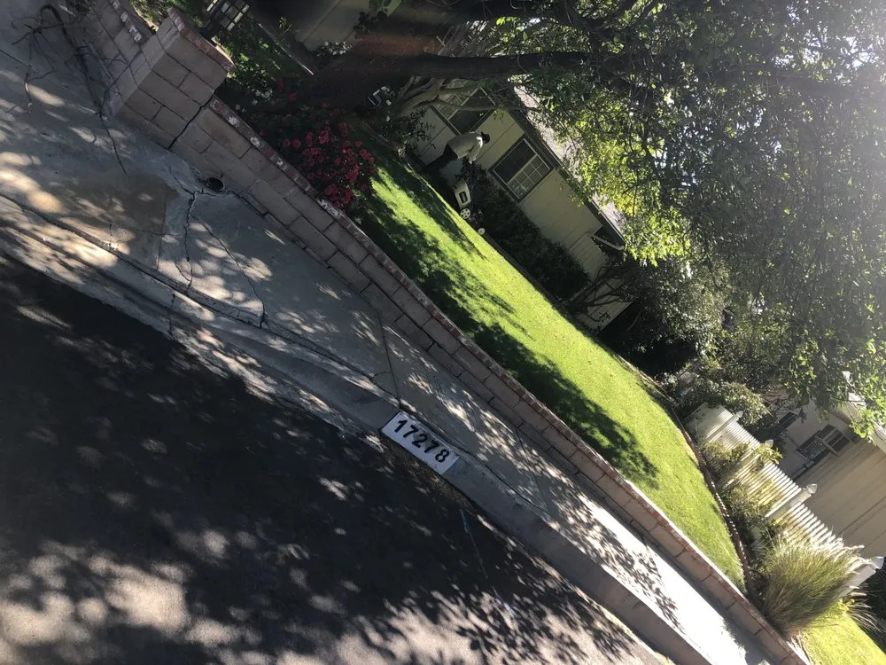 Expert yard cleanup service experts serving Los Angeles, CA - Vazquez Gardening