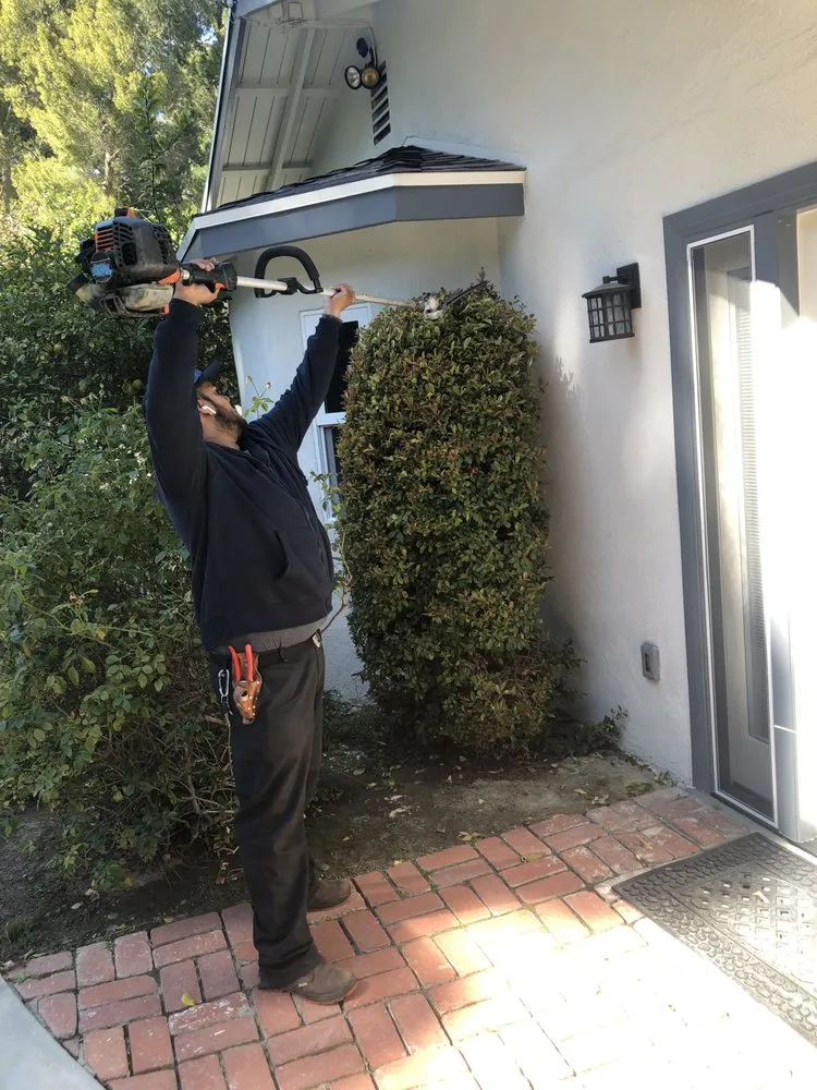 Top-rated outdoor landscaping in Los Angeles, CA by Vazquez Gardening