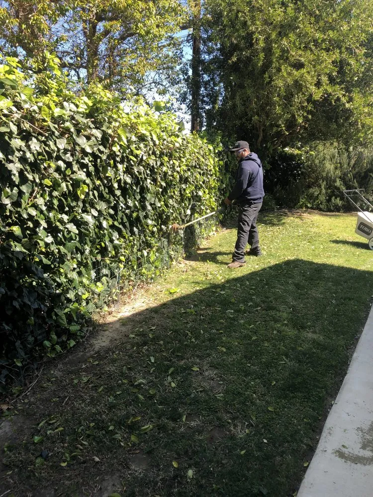 Expert landscape design with custom design across Los Angeles, CA - Vazquez Gardening