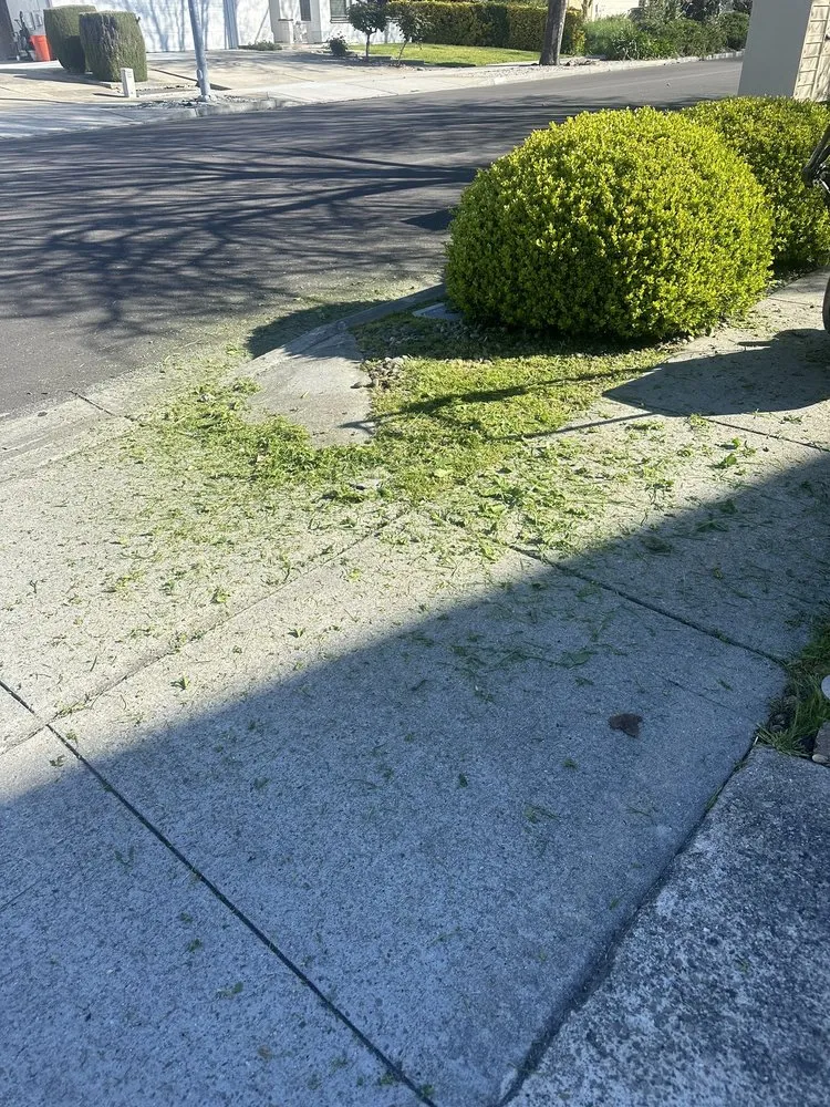 Top-rated lawn mowing service for beautiful yards across San Carlos, CA - Vazquez Gardening Services