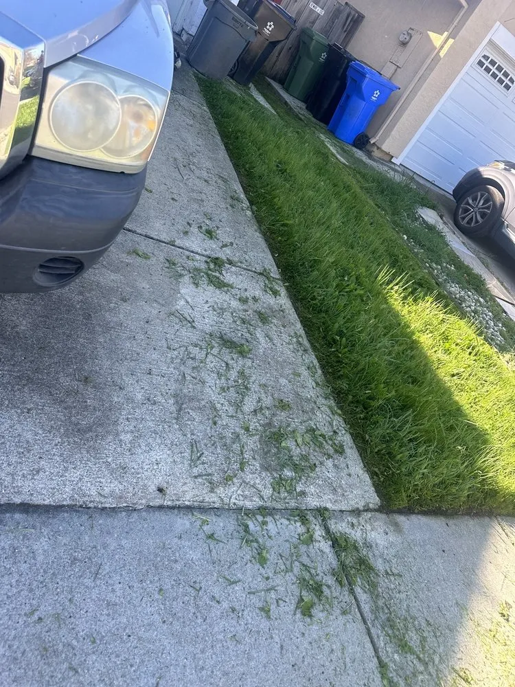 Affordable lawn care service for homes across San Carlos, CA - Vazquez Gardening Services