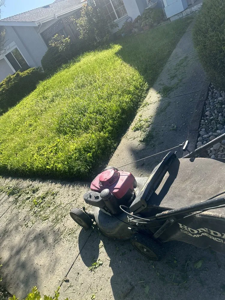 Affordable landscape installation in San Carlos, CA - Vazquez Gardening Services