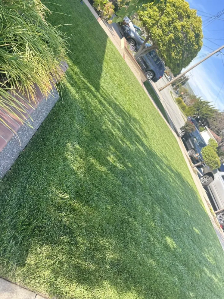 Trusted landscape design in San Carlos, CA by Vazquez Gardening Services