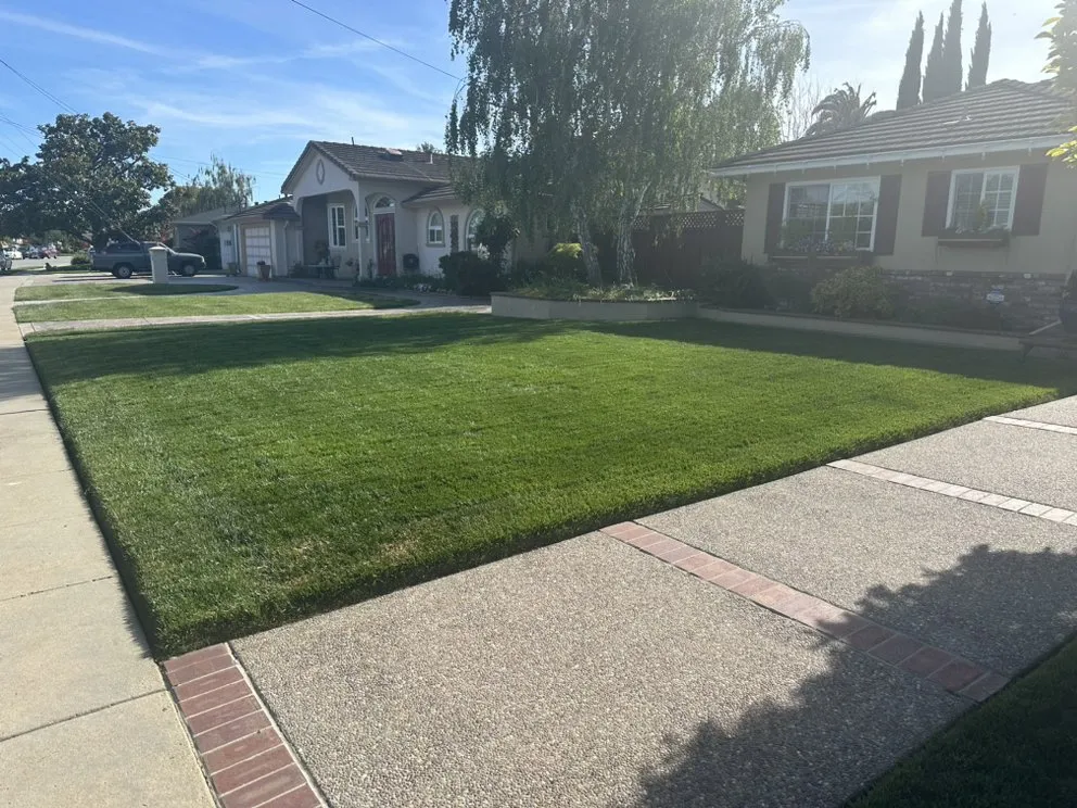 Top-rated landscaping services in San Carlos, CA by Vazquez Gardening Services