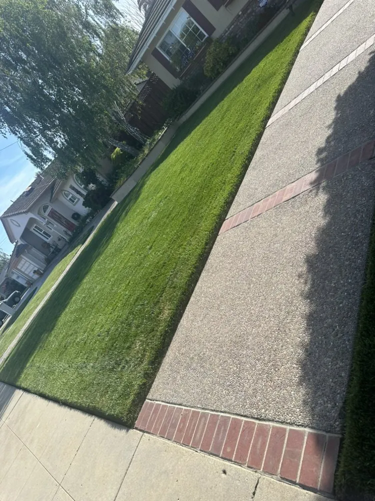 Local lawn mowing service in San Carlos, CA - Vazquez Gardening Services