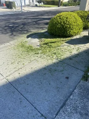 Vazquez Gardening Services Logo