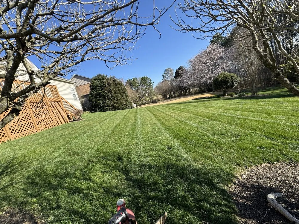 Local yard maintenance for homes in Raleigh, NC by Vazquez Landscape & Hardscape