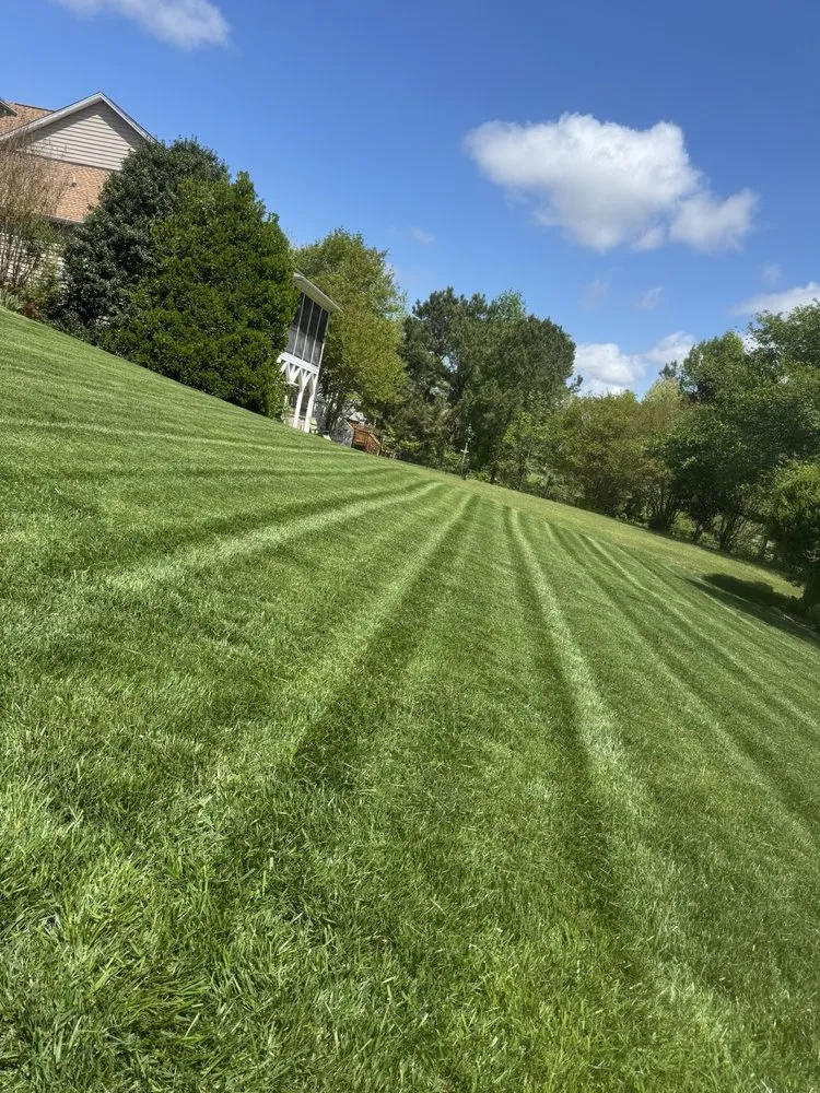 Local landscaping services for year-round maintenance across Raleigh, NC - Vazquez Landscape & Hardscape