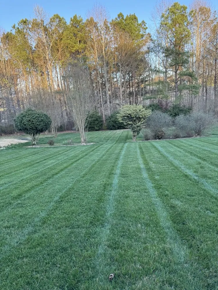 Affordable landscape design near you in Raleigh, NC by Vazquez Landscape & Hardscape