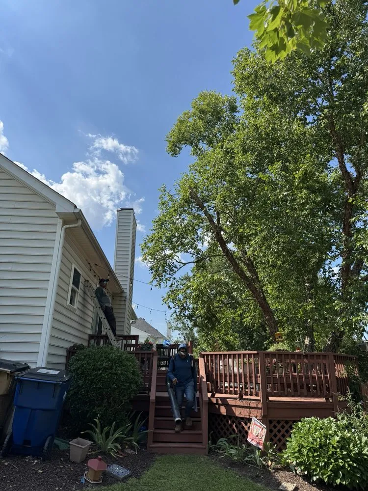 Trusted yard cleanup service in Raleigh, NC by Vazquez Landscape & Hardscape