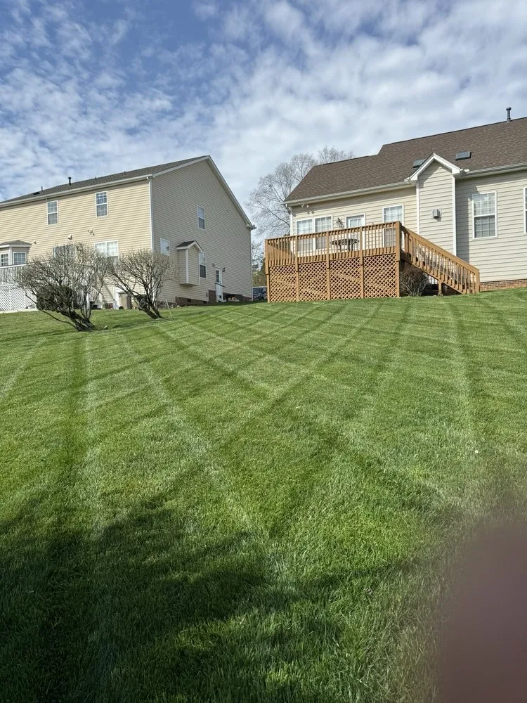 Affordable landscape installation in Raleigh, NC - Vazquez Landscape & Hardscape