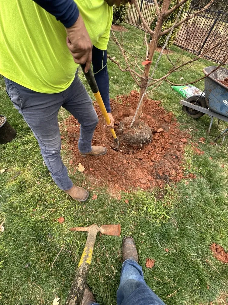 Top-rated residential landscaping experts serving Raleigh, NC - Vazquez Landscape & Hardscape