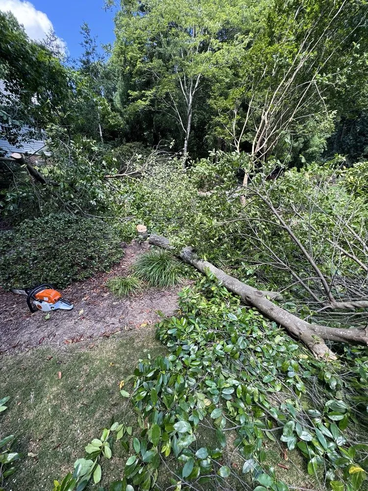 Affordable residential landscaping in Raleigh, NC by Vazquez Landscape & Hardscape