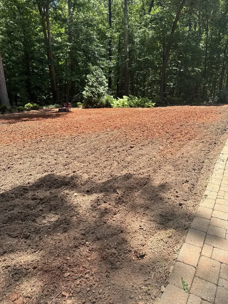 Custom yard maintenance experts serving Raleigh, NC - Vazquez Landscape & Hardscape