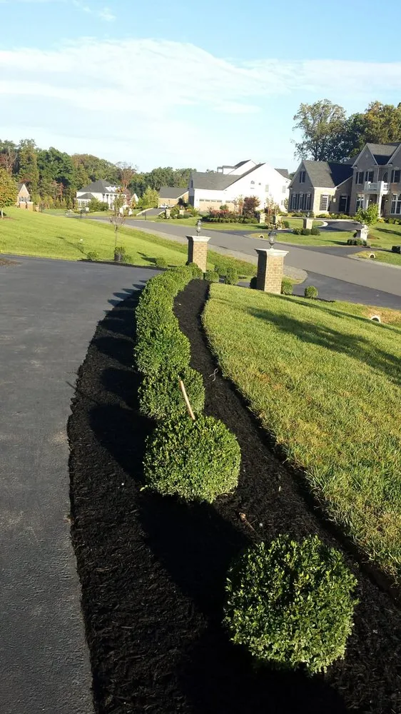 Reliable lawn mowing service in Charlottesville, VA by Vazquez Landscaping & Tree Services