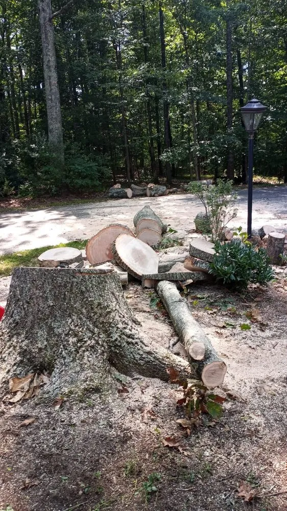 Local lawn care service experts serving Charlottesville, VA - Vazquez Landscaping & Tree Services