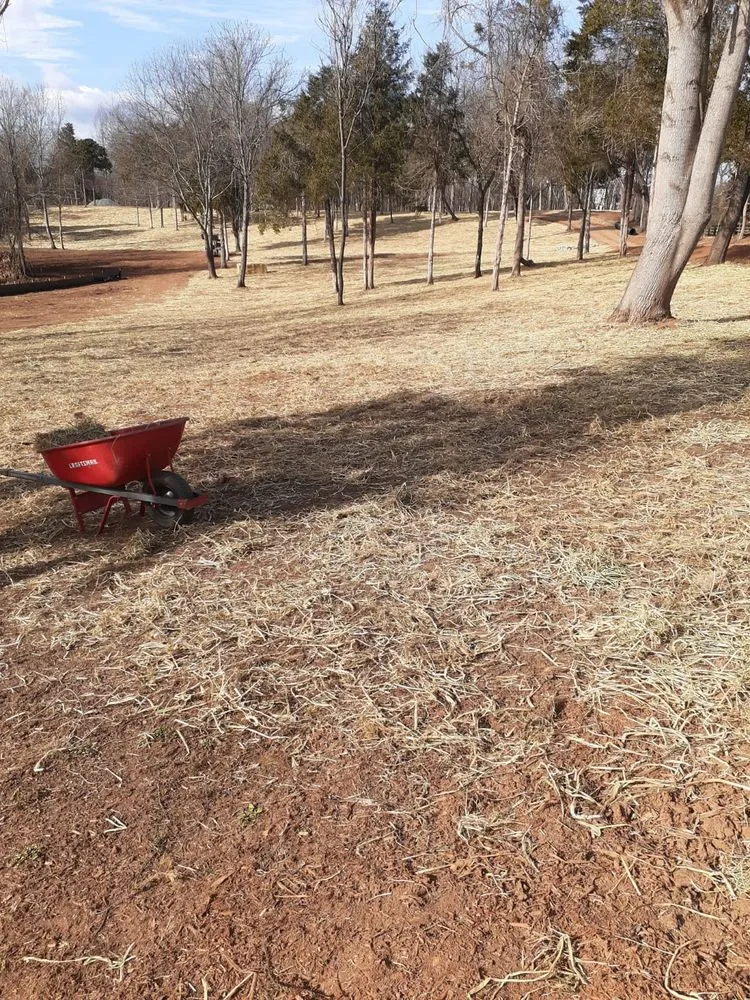 Professional outdoor landscaping with custom design in Charlottesville, VA by Vazquez Landscaping & Tree Services