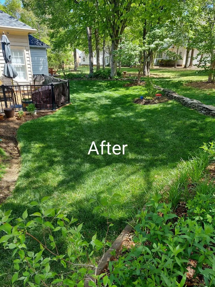 Local lawn mowing service in Charlottesville, VA - Vazquez Landscaping & Tree Services