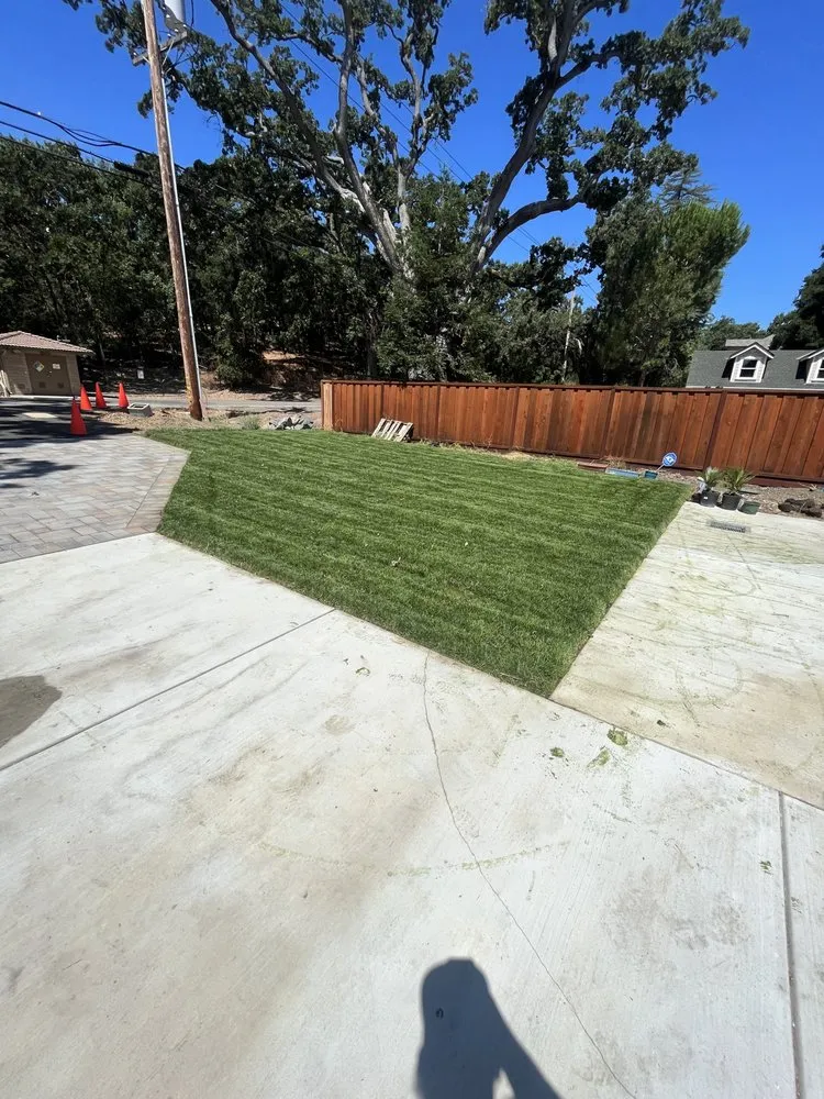 Affordable landscaping services for outdoor upgrades across Antioch, CA - Vazquez Landscaping