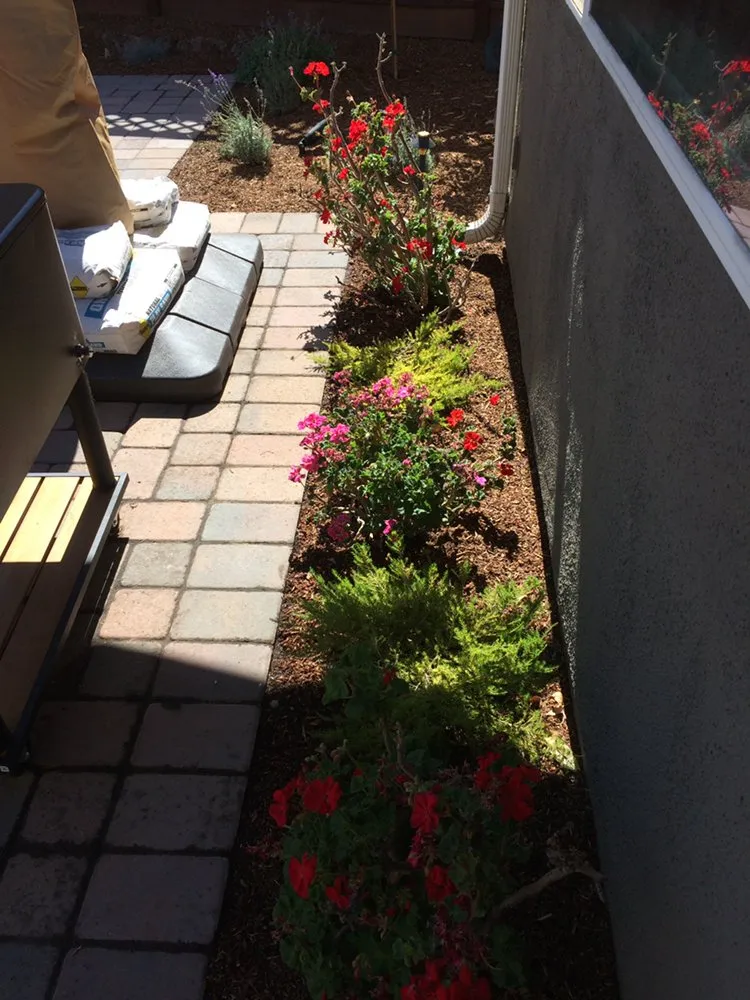 Professional yard cleanup service in Antioch, CA - Vazquez Landscaping