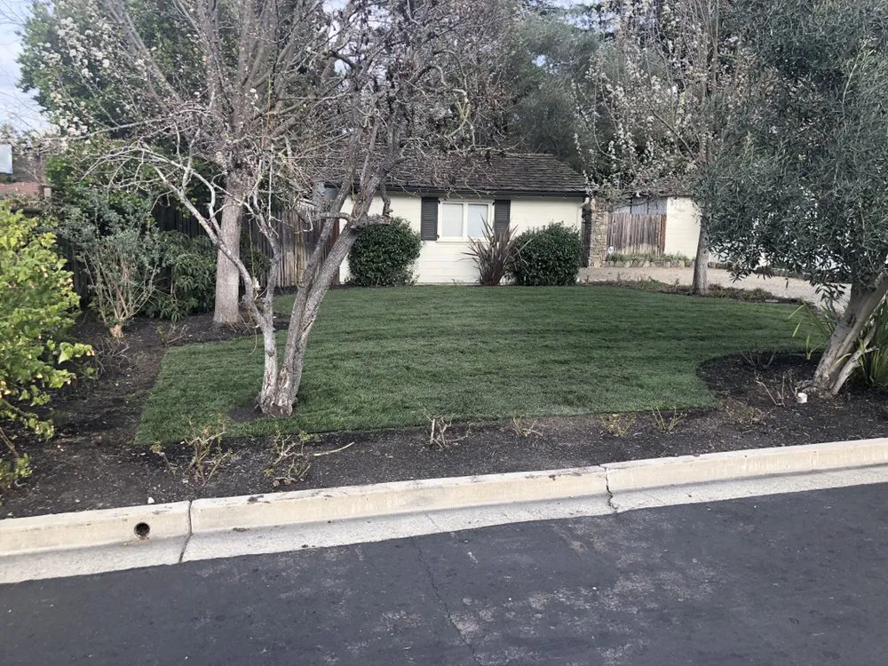 Affordable yard maintenance experts serving Antioch, CA - Vazquez Landscaping