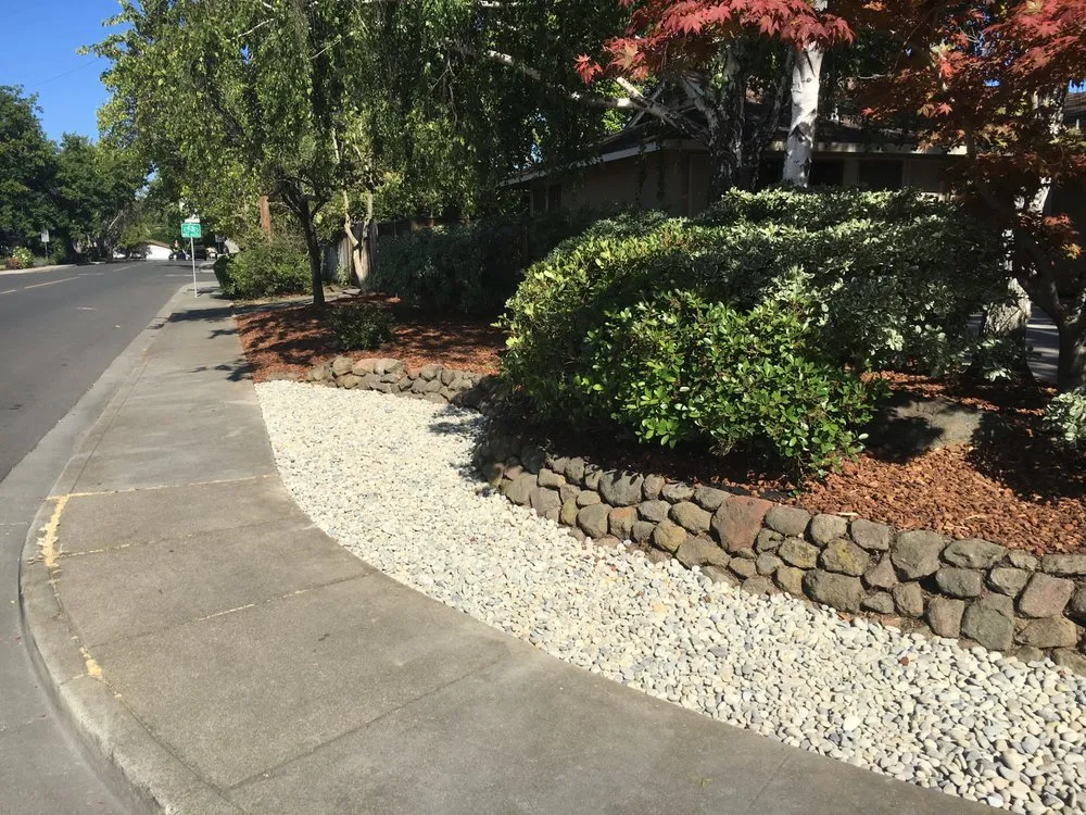 Local yard maintenance in Antioch, CA by Vazquez Landscaping