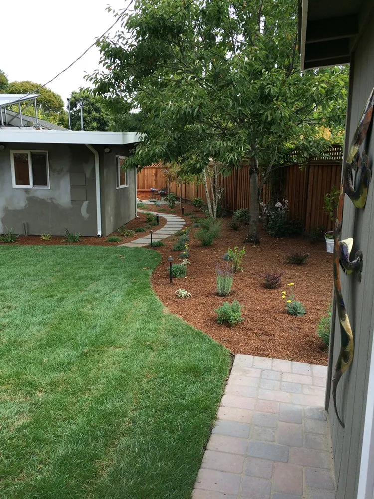 Professional landscaping services in Antioch, CA by Vazquez Landscaping