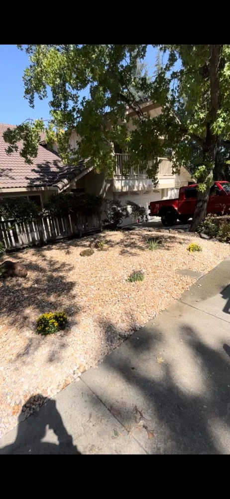 Affordable landscape installation for residential properties across Antioch, CA - Vazquez Landscaping
