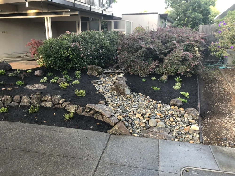 Top-rated yard cleanup service in Antioch, CA - Vazquez Landscaping