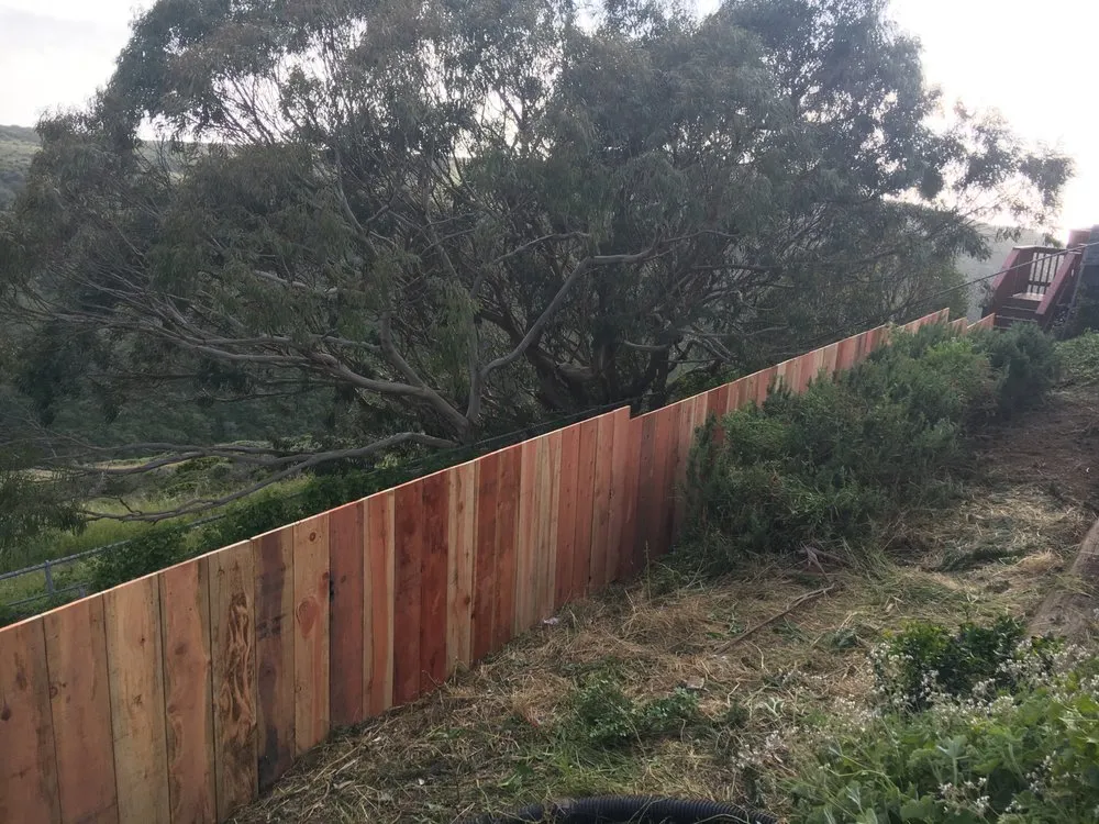 Custom yard cleanup service in Antioch, CA by Vazquez Landscaping