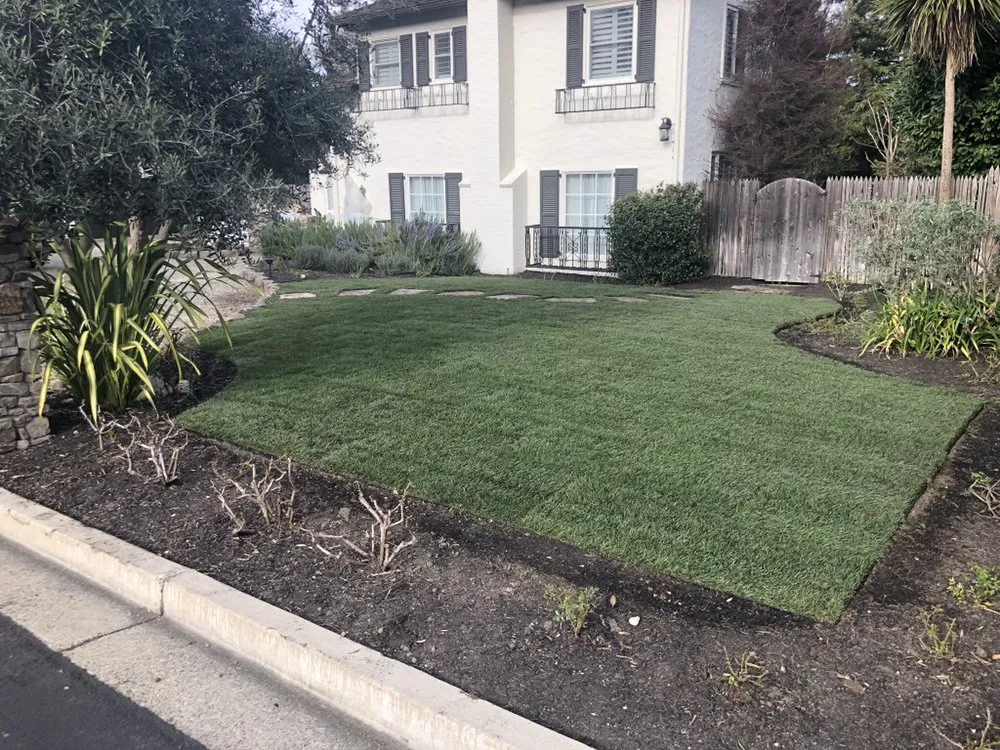 Professional residential landscaping experts serving Antioch, CA - Vazquez Landscaping