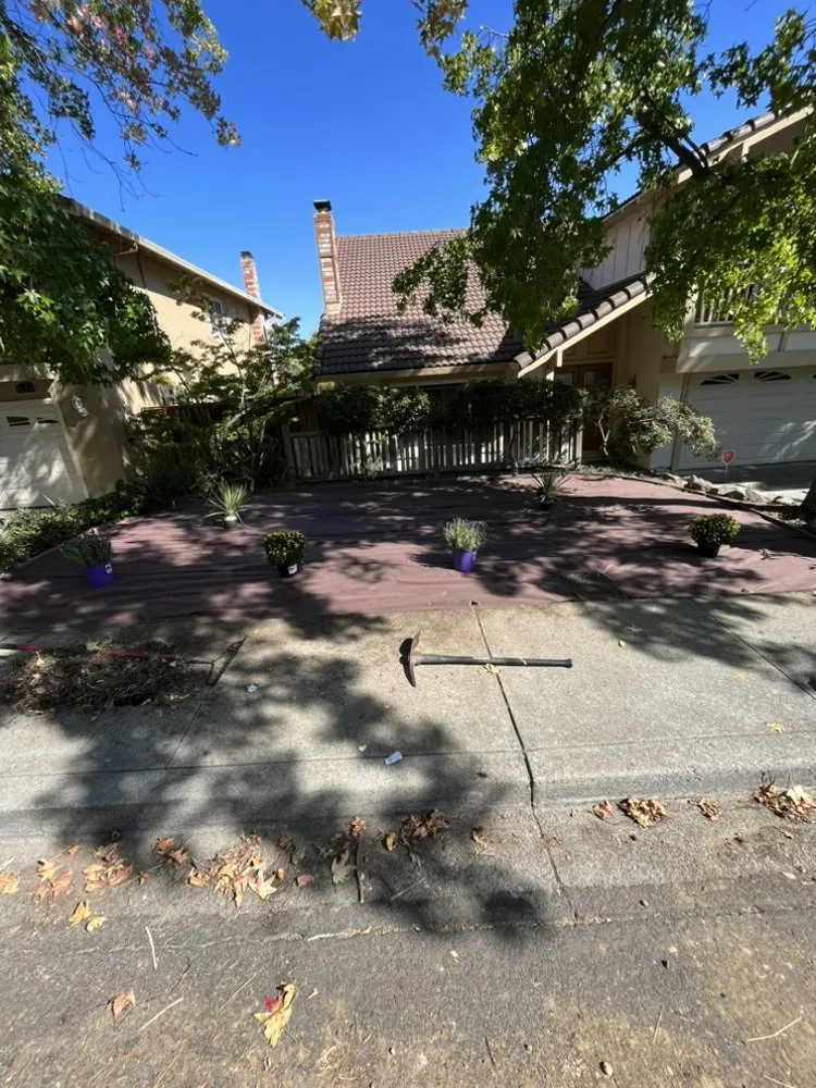 Custom lawn care service for beautiful yards in Antioch, CA by Vazquez Landscaping