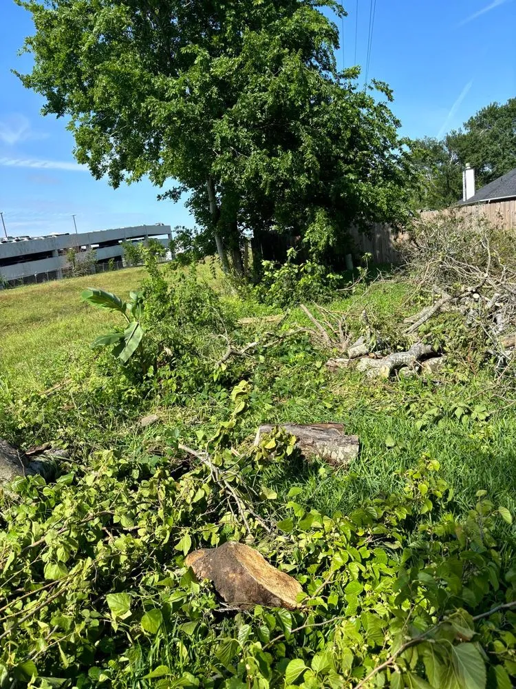 Trusted landscaping services in Beach City, TX by Vazquez Landscaping