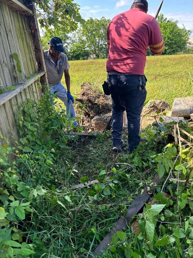 Trusted lawn mowing service experts serving Beach City, TX - Vazquez Landscaping