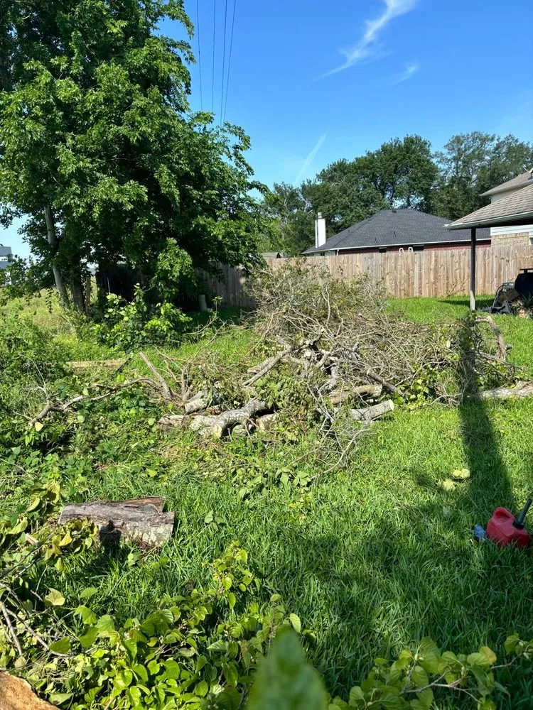 Professional landscape installation in Beach City, TX - Vazquez Landscaping