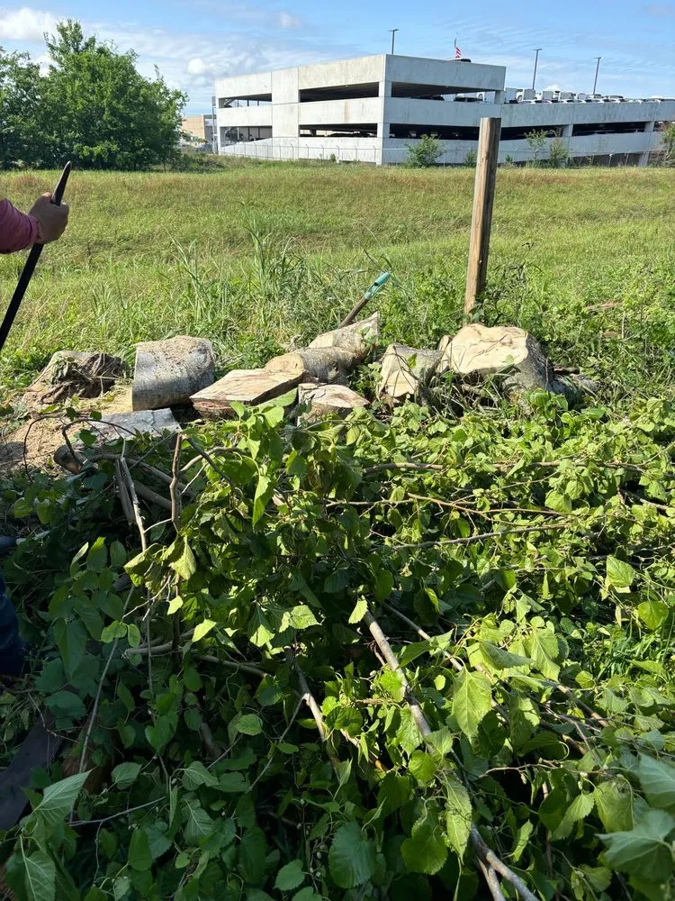 Reliable garden landscaping experts serving Beach City, TX - Vazquez Landscaping