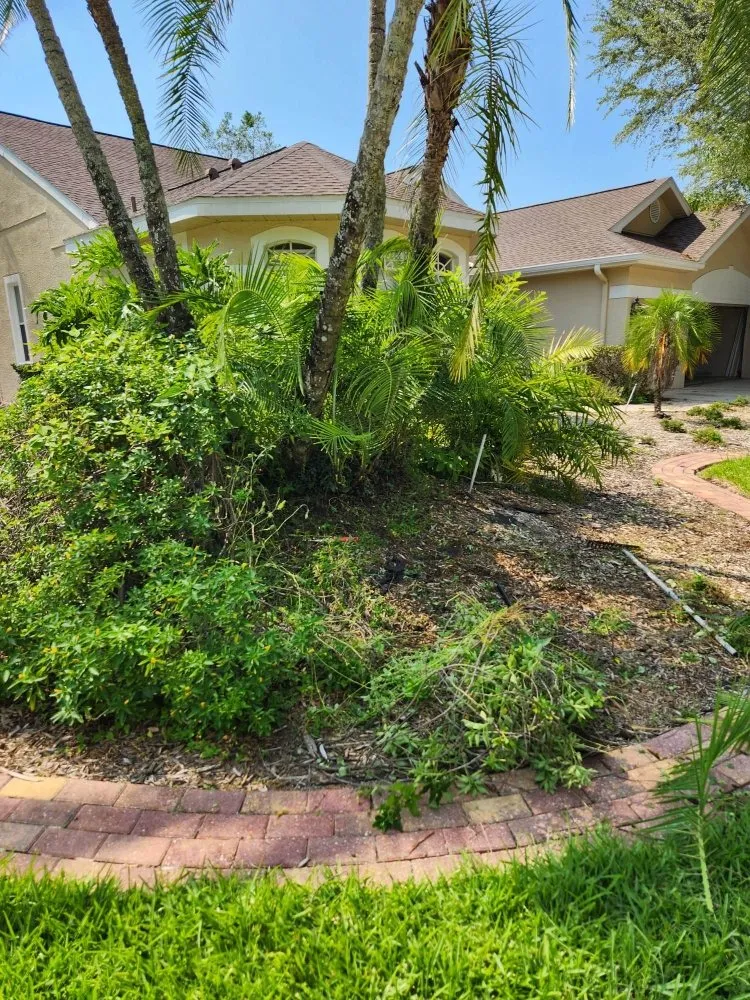 Affordable lawn mowing service for outdoor upgrades across New Port Richey, FL - Vazquez Landscaping Care