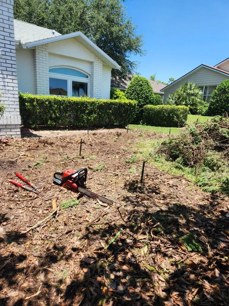 Affordable lawn mowing service in New Port Richey, FL by Vazquez Landscaping Care